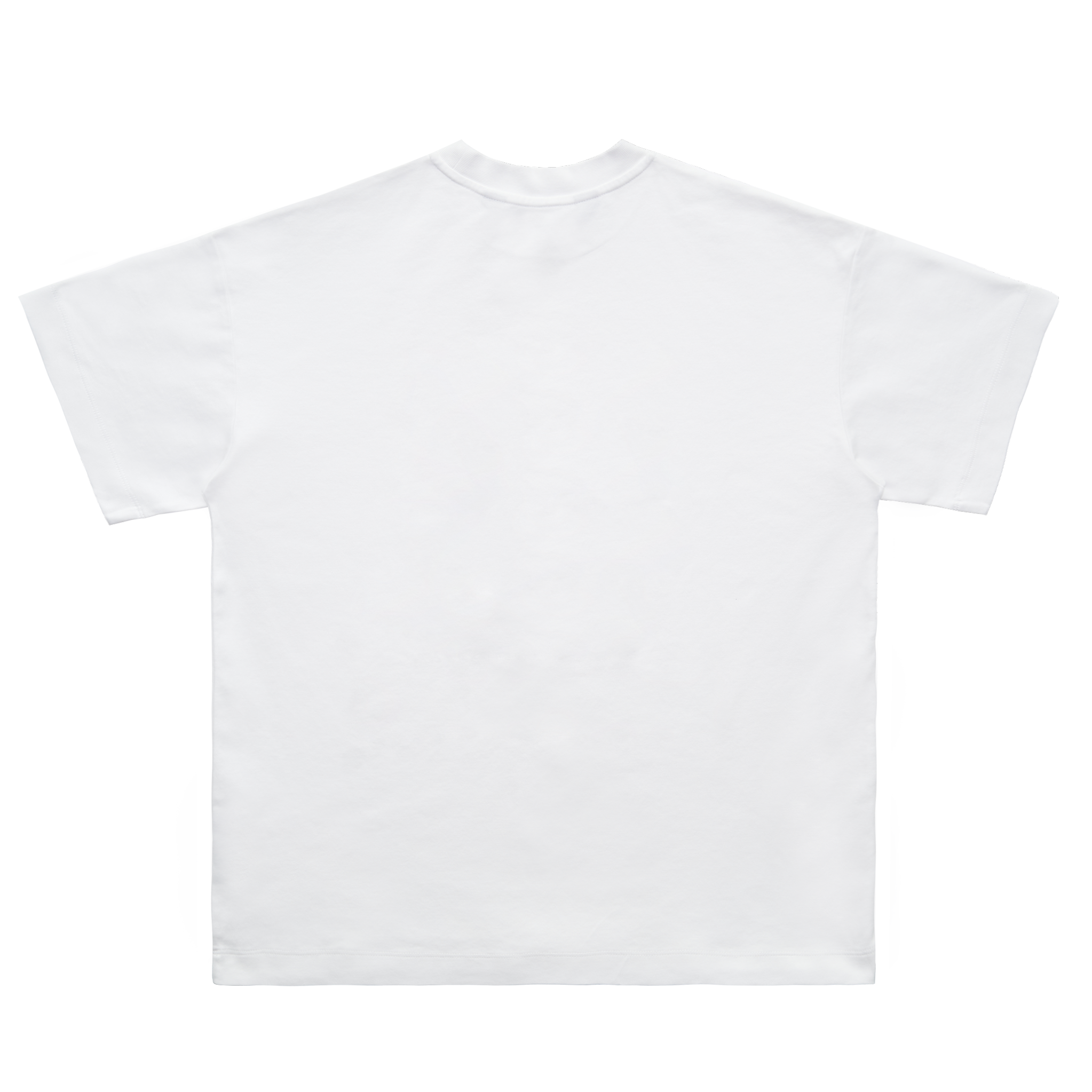 Racing_T-Shirt_Back_Blank.png